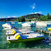 Photo de profil de Edith Montvignier, client de Restaurant Tennis Mini Golf Talloires