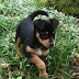 Photo de profil de Vassil Desplanques, client de M/O MARTINEAU Olivier
