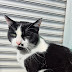 Photo de profil de Bibi, client de Pizz'Annecy