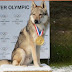 Photo de profil de JL G, client de Restaurant Le Cardinalin