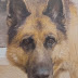 Photo de profil de Seve Moissonnier, client de Villa Cecile