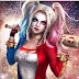 Photo de profil de Loulex M, client de Les Cabrettes