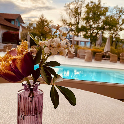 Villa Cecile à Yvoire : plat photographié par Emeline
