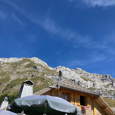 Plat servi chez Restaurant Le Chalet De L'Aulp, photographié par Laetitia Bouxin