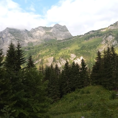 Plat servi chez Refuge des Tinderets, photographié par fred cha
