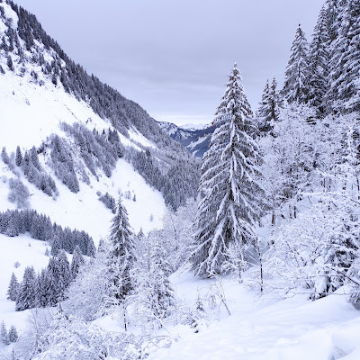 Refuge des Tinderets à Abondance : plat photographié par Jerome